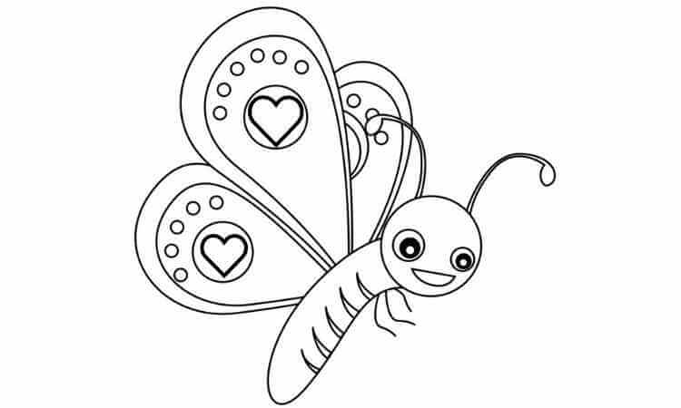 Family Hesperiidae coloring pages