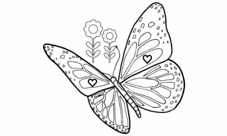 Red Admiral Butterfly coloring pages