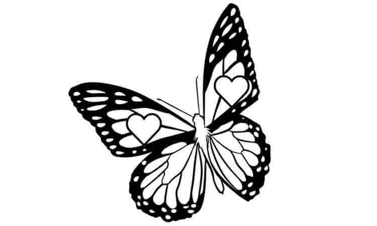 Sleepy Orange Butterfly Coloring pages