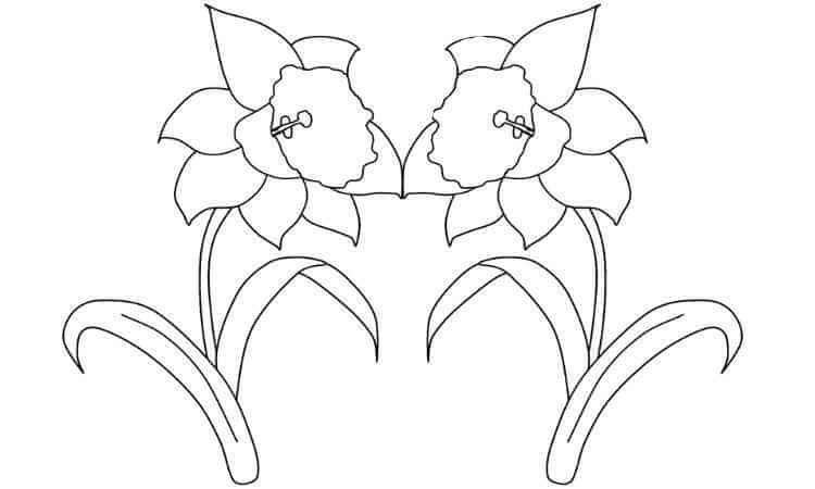 Daffodil flower coloring pages