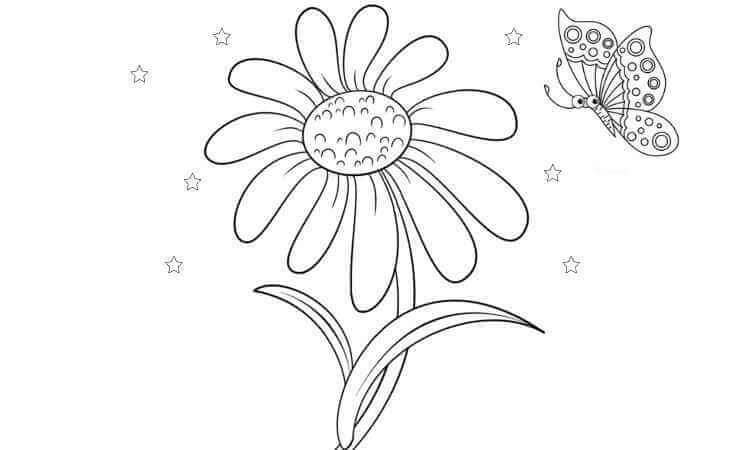 Daisy Flower coloring pages