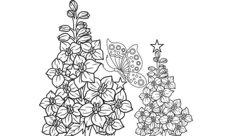 Delphinium flowers coloring pages