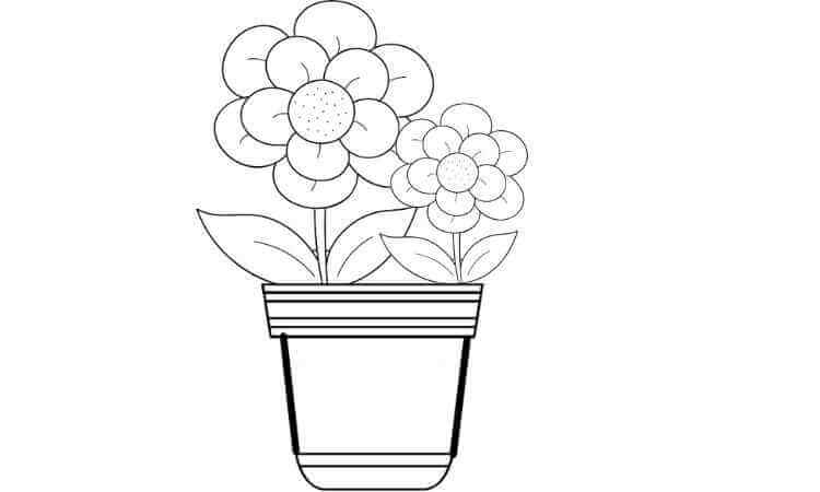 Flower with Pot coloring pages