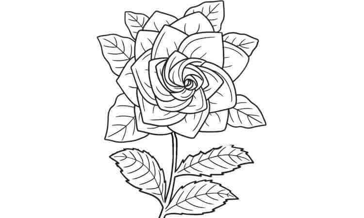 Gardenia Flower coloring pages