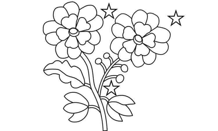 Geranium flowers coloring pages
