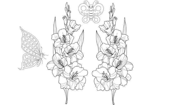 Gladioli flower coloring pages