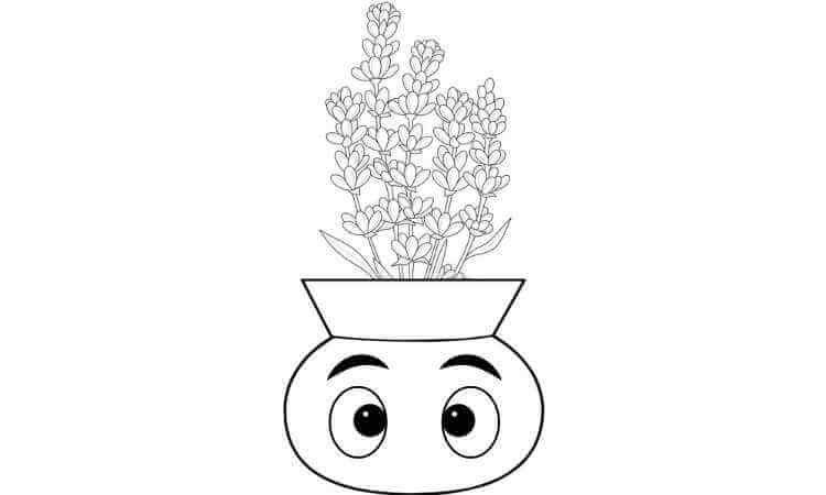 Lavender flowers coloring pages