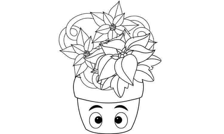 Poinsettia flower coloring pages