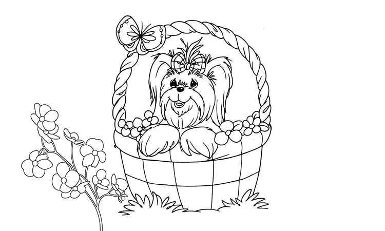 Beautiful costume-wearing Dog coloring pages