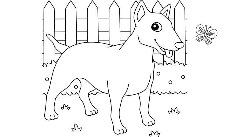 Bull terrier free dog coloring pages
