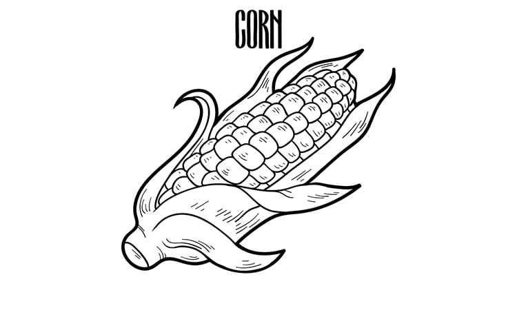 Corn or maize veggie coloring pages