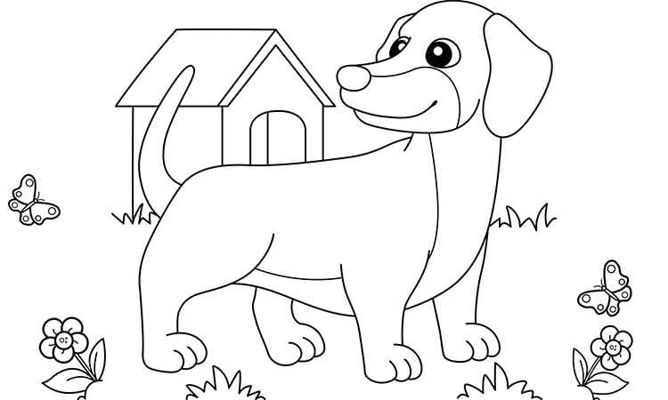 Dachshund Dog coloring pages
