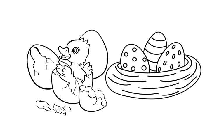 Duckling hatching coloring pages