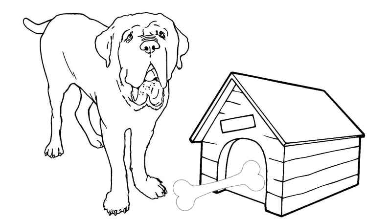 English Mastiff Dogs coloring pages