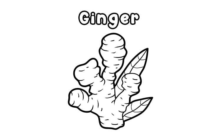 Ginger veggie coloring pages
