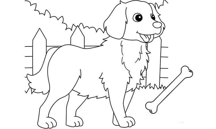 Golden Retriever dog coloring pages