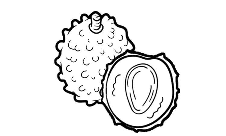 Lychee fruit coloring pages