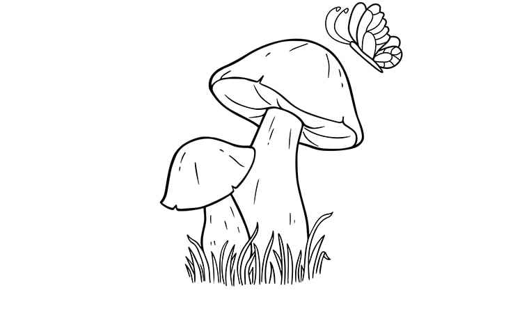 Mushroom veggie coloring pages