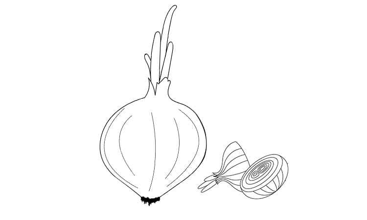 Onion veggie coloring pages