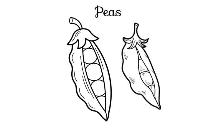 Pea veggie coloring pages