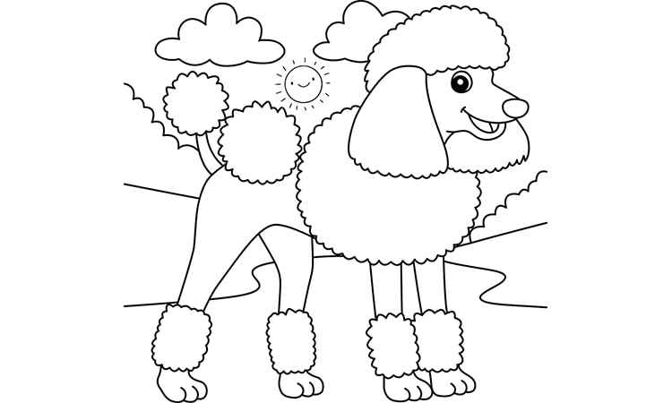 Poodles dog coloring pages coloring pages