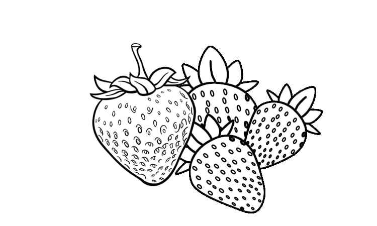 Strawberry fruit coloring pages