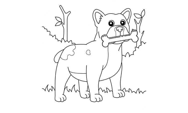 Stylish Bull Dog coloring pages