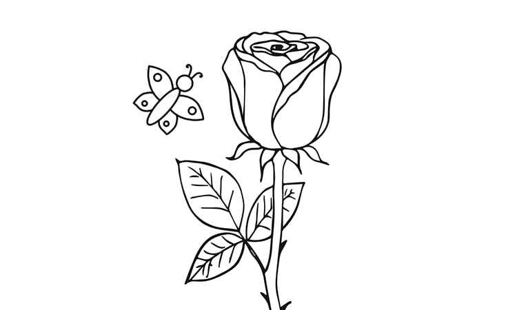 The Black rose coloring pages