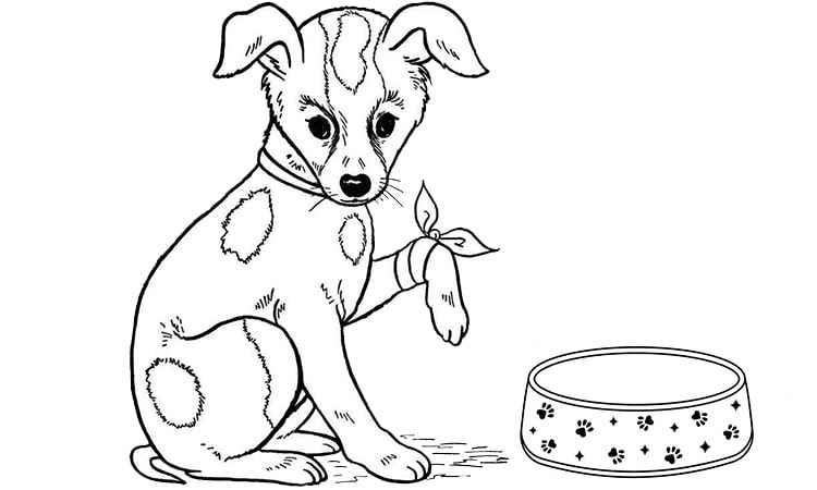The cute wounded Dog coloring pages