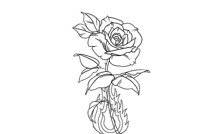 The dancing flame rose Coloring Pages