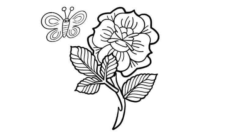 The full bloom rose coloring pages