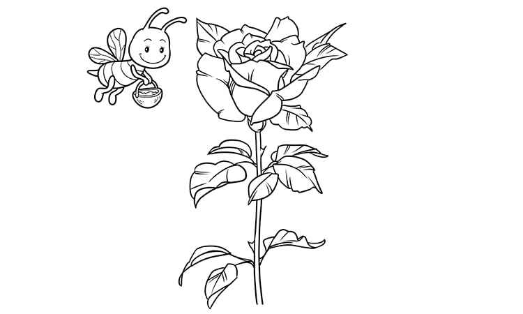 The full-bloomed rose with a thorn coloring pages