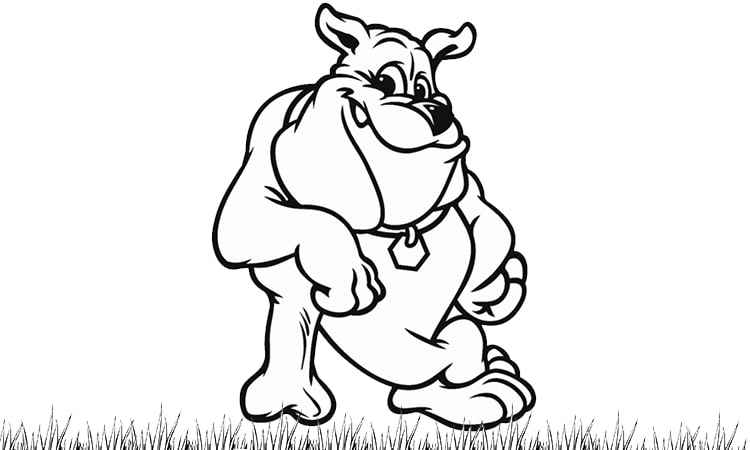 The muscular English bull dog coloring pages