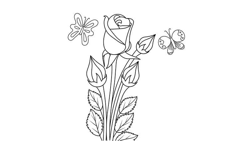 The purple rose coloring pages