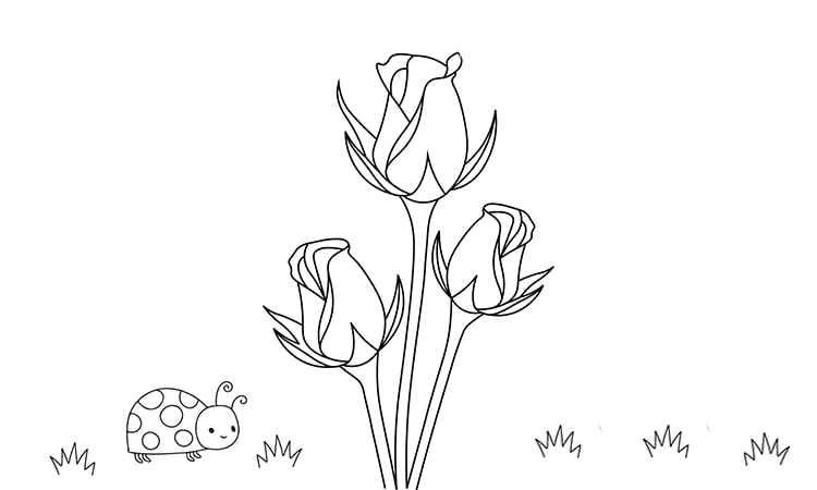 The rose buds coloring pages