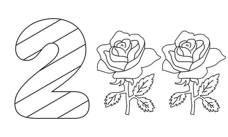 The rose number coloring pages