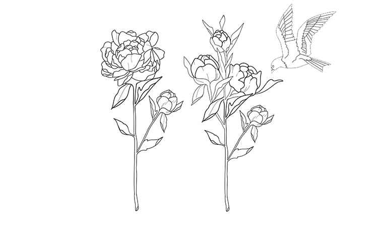 The rose pair coloring pages