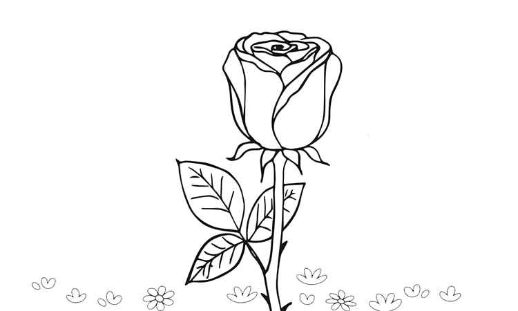 The rose with a leaf coloring pages