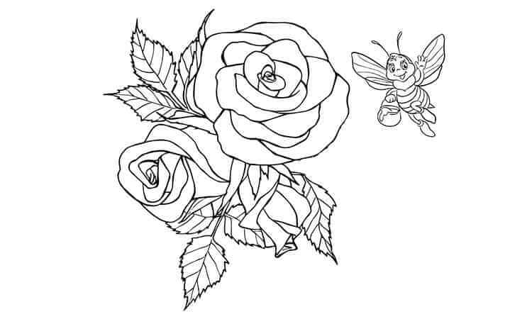 The roses with bees coloring pages