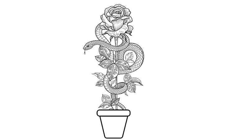 The wilting rose coloring pages