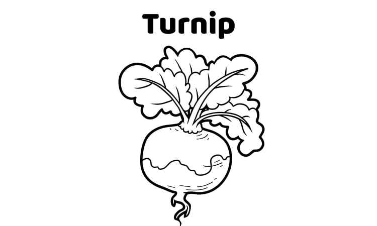 Turnip veggie coloring pages