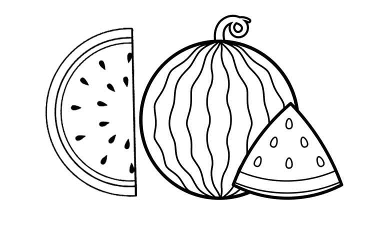 Watermelon fruit coloring pages