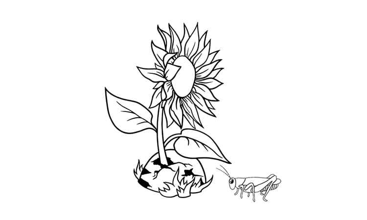 Bright Sunflower coloring pages