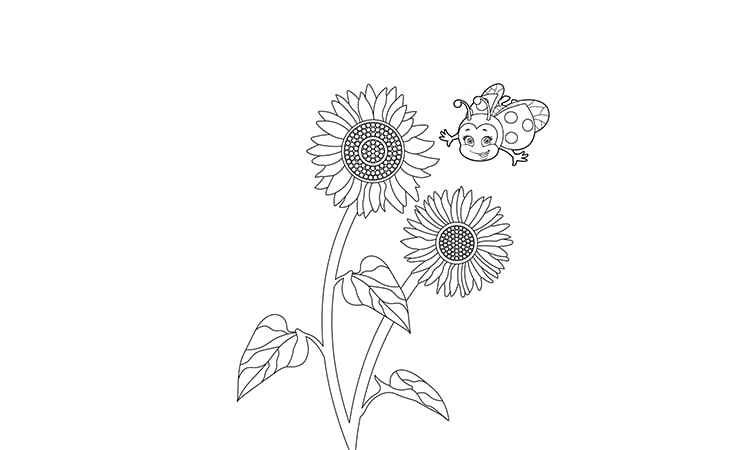 Lady Collecting sunflowers coloring pages