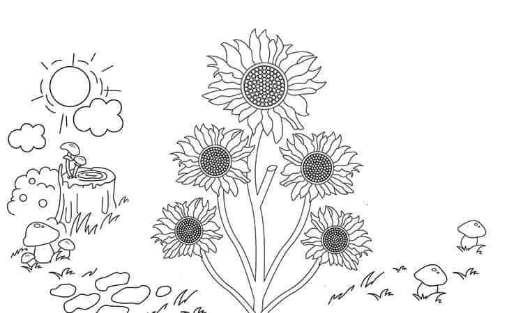 Mushroom and Sunflower coloring pages