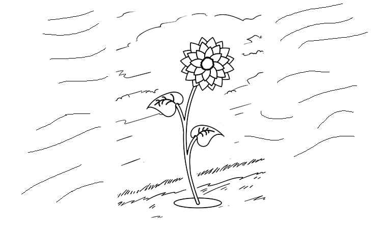 Sunflower in blowing air coloring pages