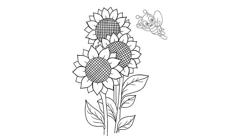 Sunflower with a bee coloring pages
