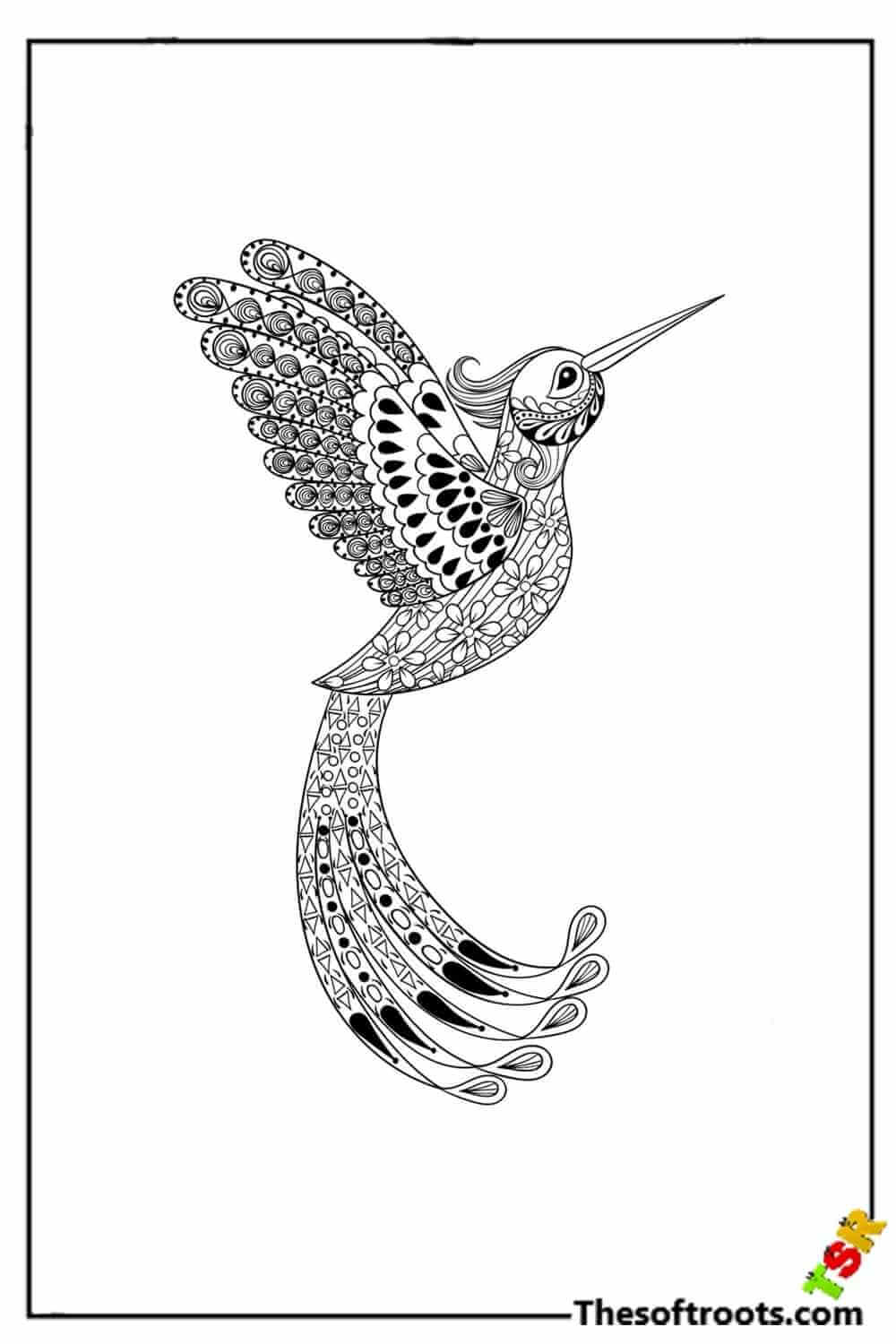 Adult Bird coloring pages