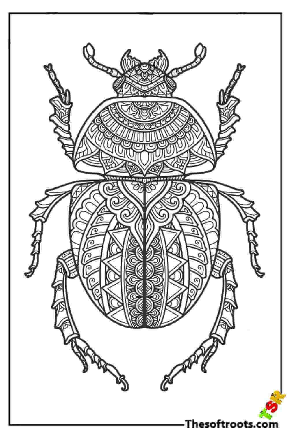 Adult Bugs coloring pages