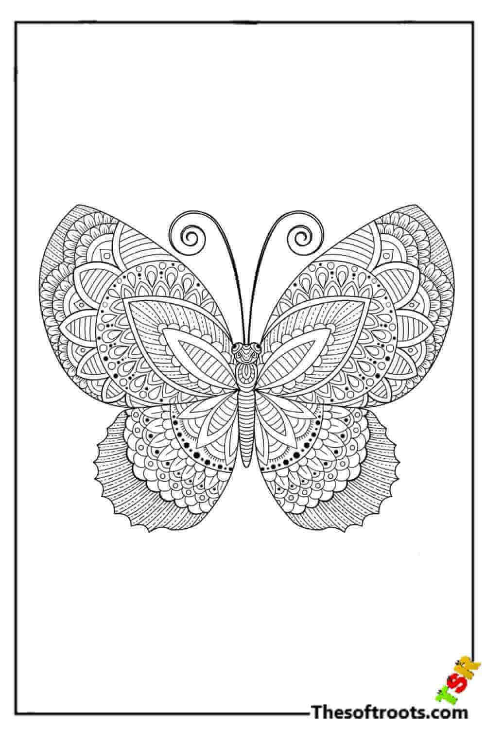 Adult Butterfly Coloring pages